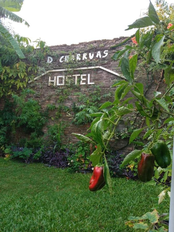 Dch Hostel Backpaquers Concordia Kültér fotó